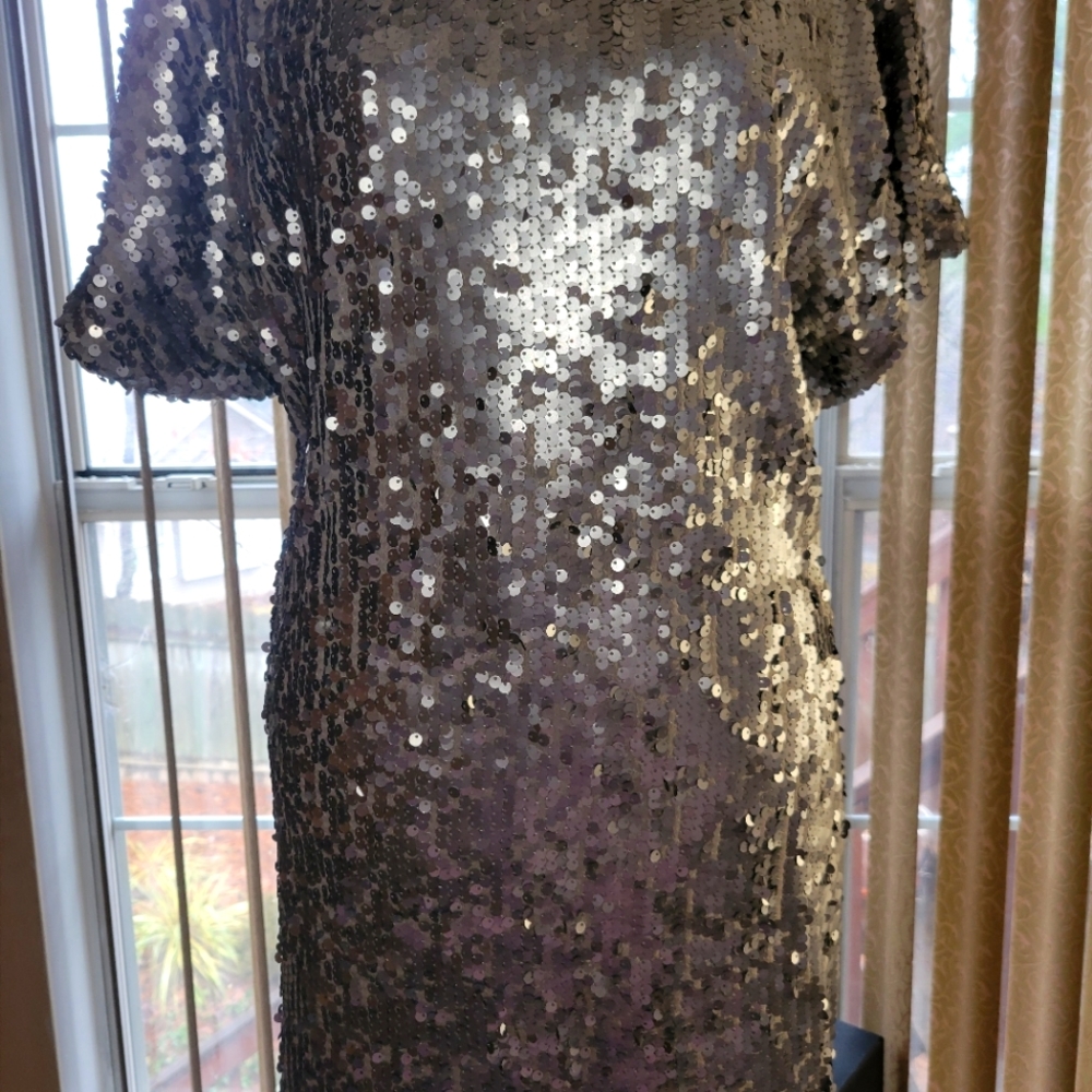 Sequined beautiful silver dress lined